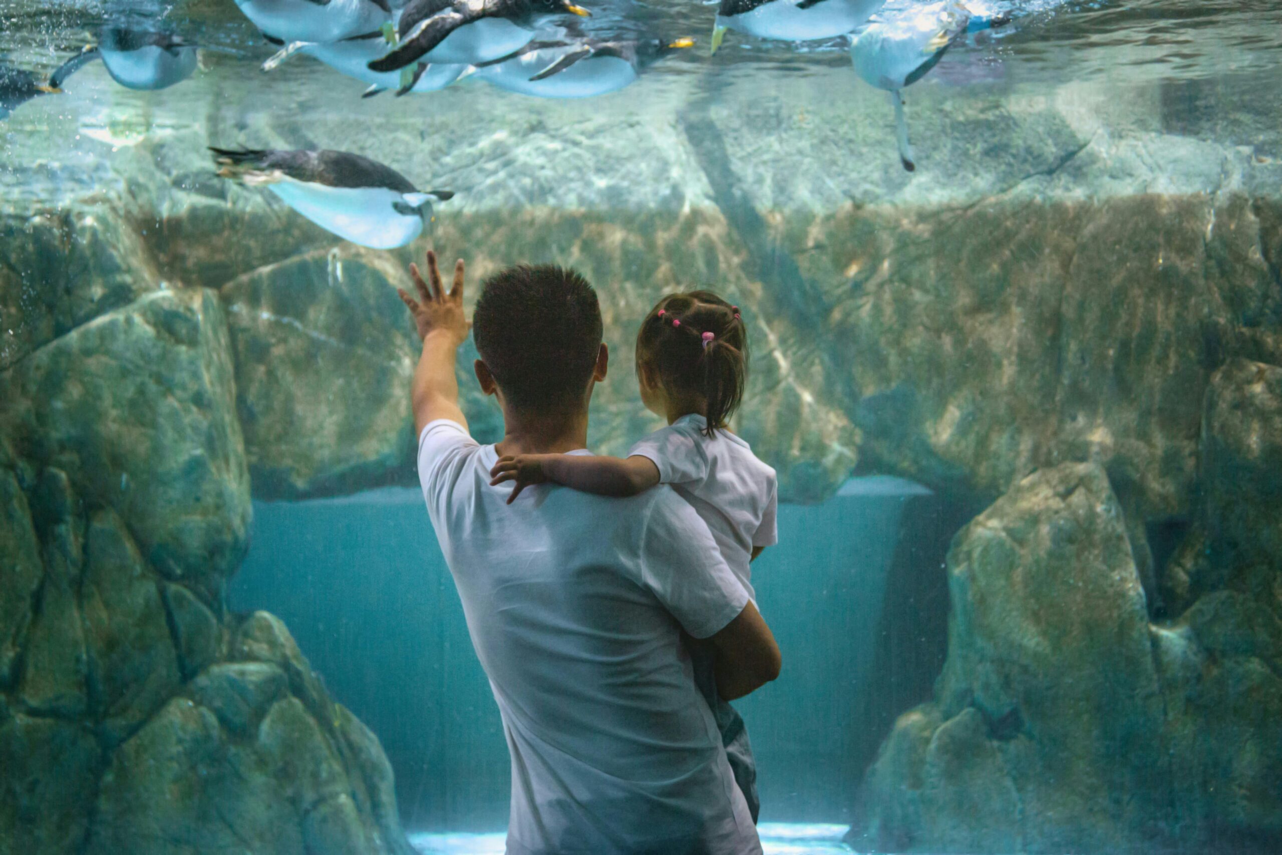 Aquarium_Dubai